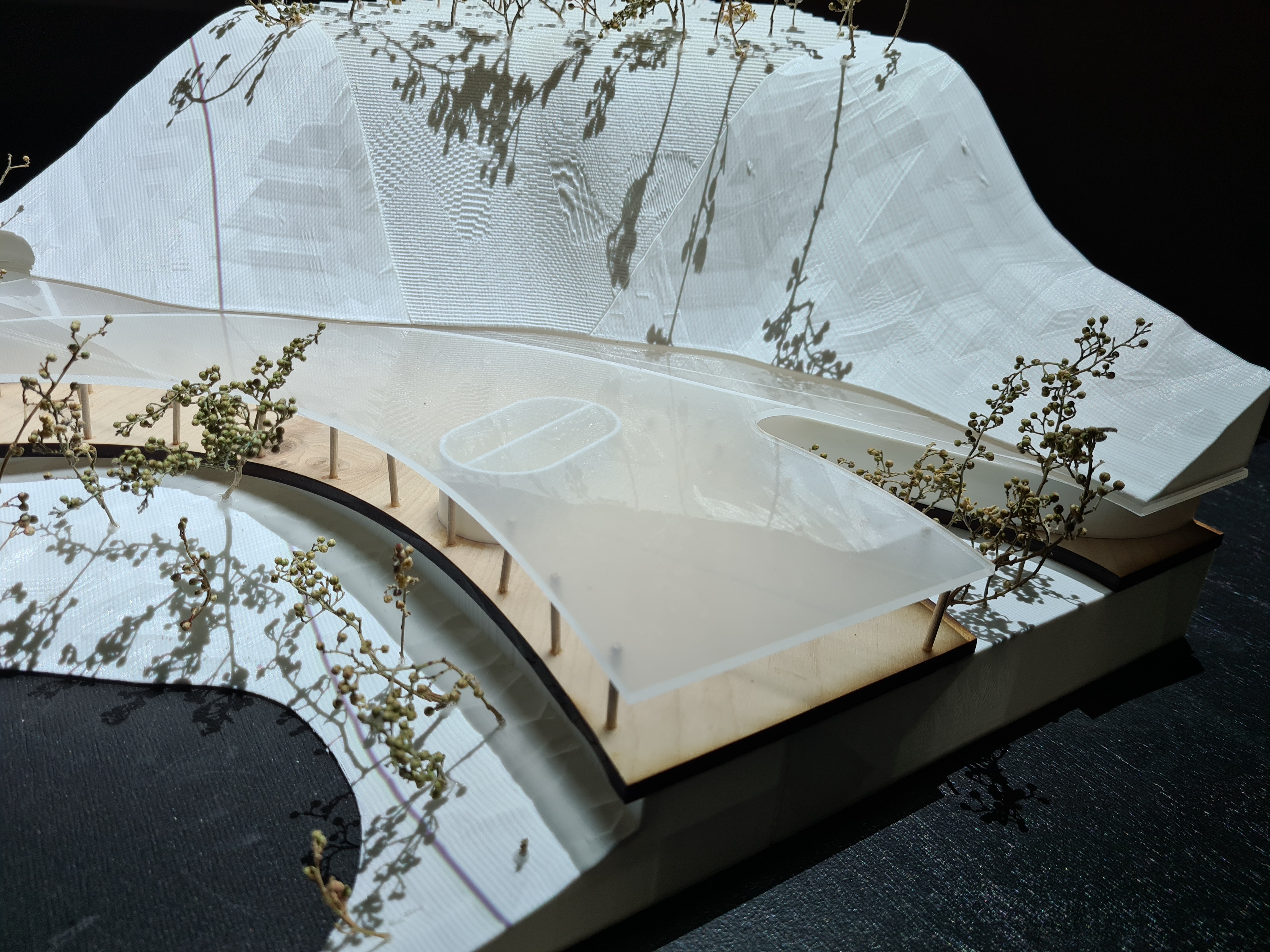 cdmx exhibition image 7