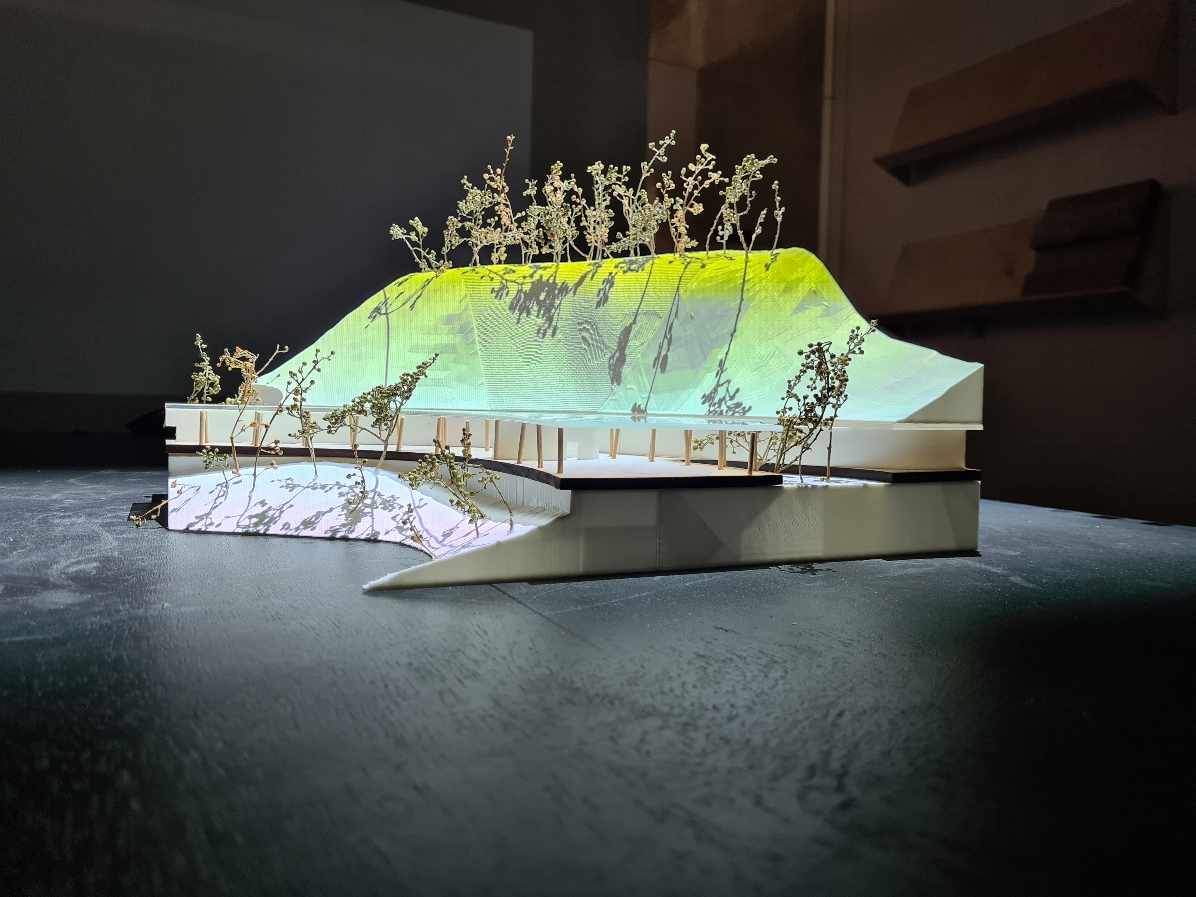 cdmx exhibition image 6