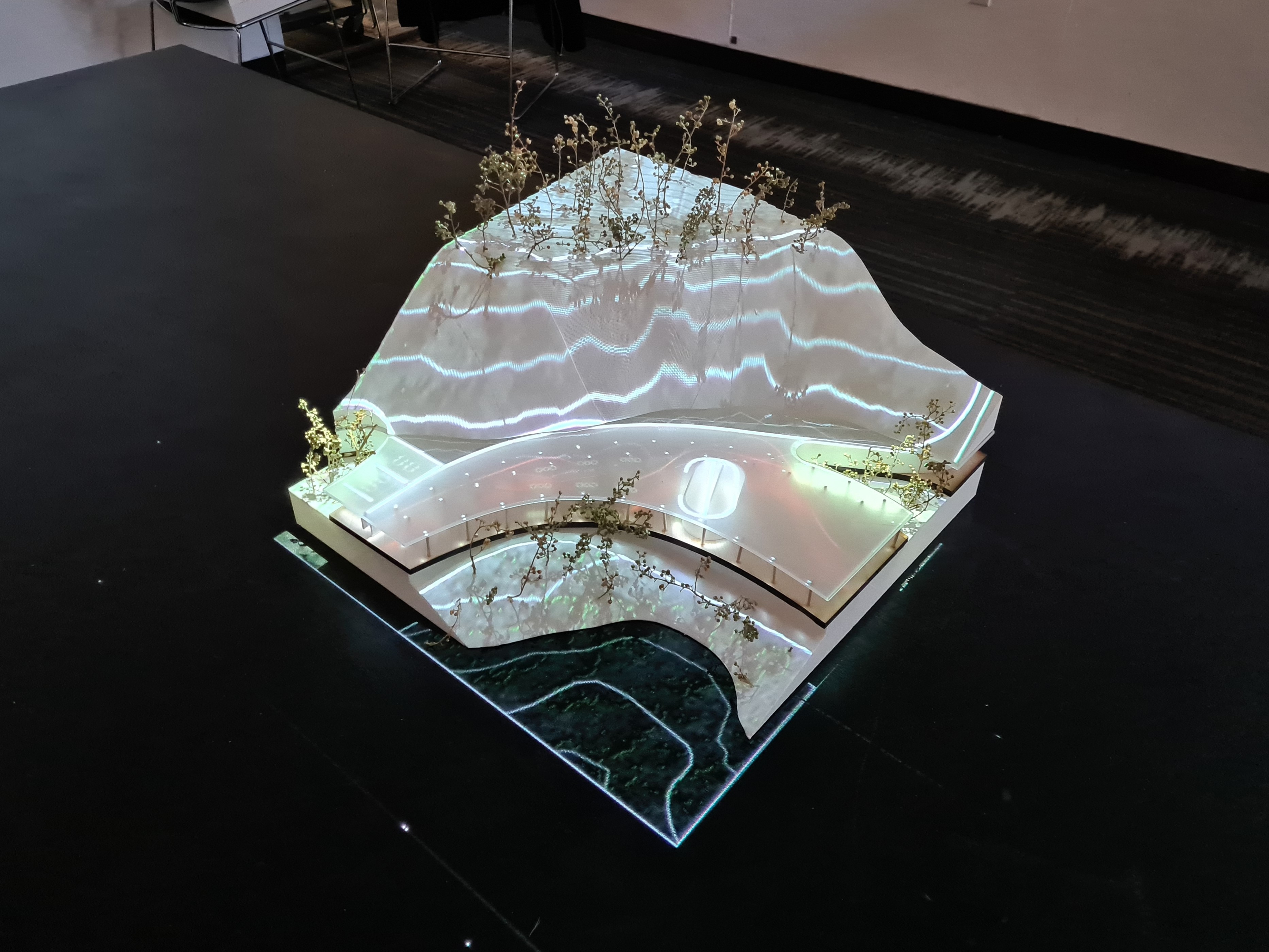 cdmx exhibition image 5