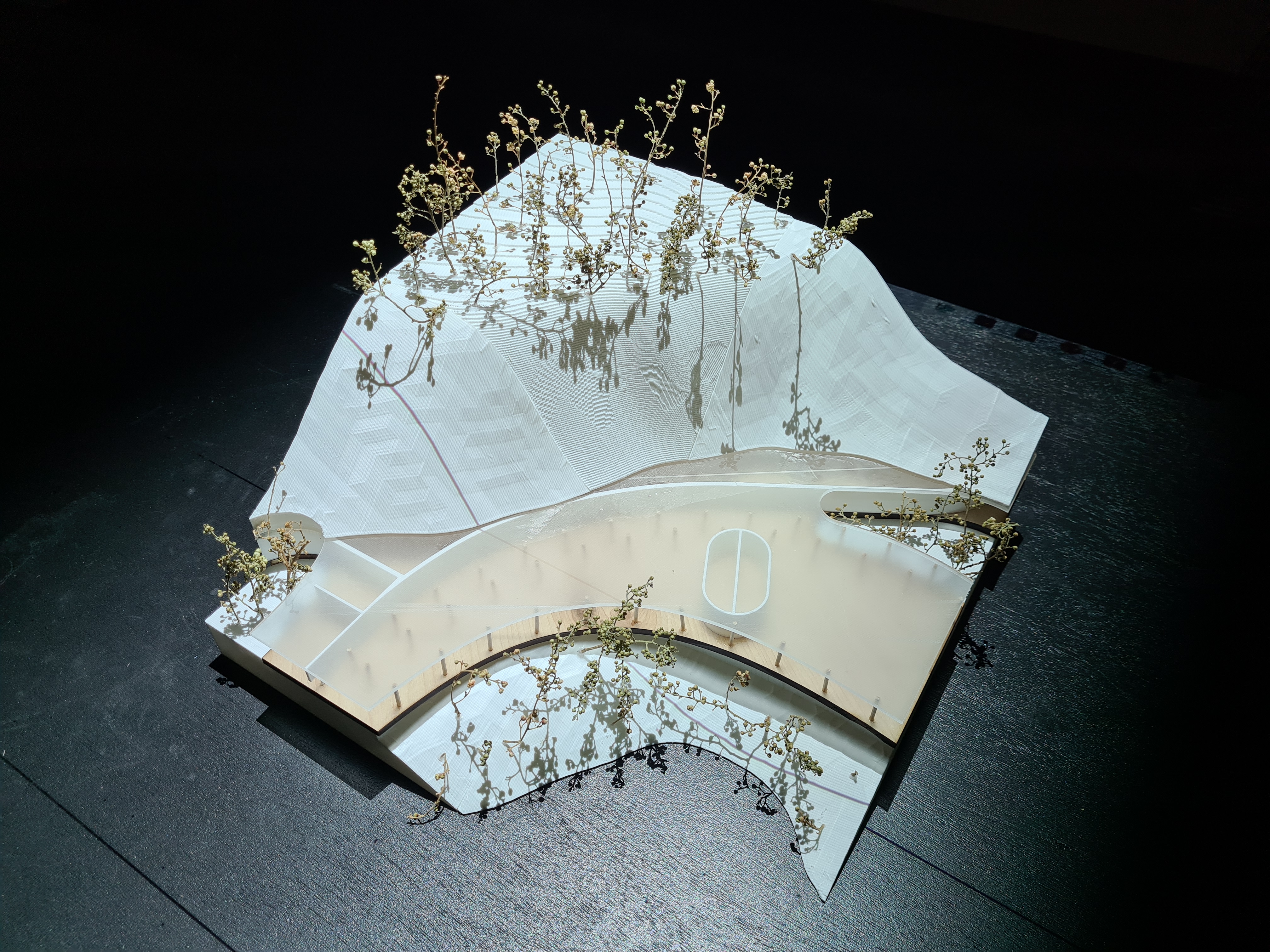 cdmx exhibition image 4